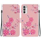 For Motorola Moto G62 5G Crystal Texture Colored Drawing Leather Phone Case(Cherry Blossoms) - 1