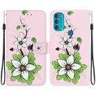 For Motorola Moto G71 Crystal Texture Colored Drawing Leather Phone Case(Lily) - 1