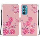 For Motorola Edge 30 Crystal Texture Colored Drawing Leather Phone Case(Cherry Blossoms) - 1