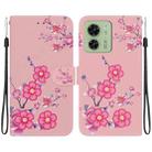 For Motorola Edge 40 Crystal Texture Colored Drawing Leather Phone Case(Cherry Blossoms) - 1