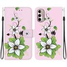 For Motorola Moto G Stylus 4G 2022 Crystal Texture Colored Drawing Leather Phone Case(Lily) - 1