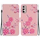 For Motorola Moto G Stylus 4G 2022 Crystal Texture Colored Drawing Leather Phone Case(Cherry Blossoms) - 1