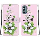 For Motorola Moto G Stylus 5G 2022 Crystal Texture Colored Drawing Leather Phone Case(Lily) - 1