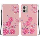 For Motorola Moto G13 / G23 / G53 Crystal Texture Colored Drawing Leather Phone Case(Cherry Blossoms) - 1