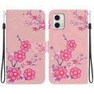 For Motorola Moto G73 Crystal Texture Colored Drawing Leather Phone Case(Cherry Blossoms) - 1