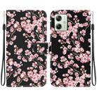 For Motorola Moto G54 Crystal Texture Colored Drawing Leather Phone Case(Plum Bossom) - 1