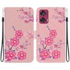 For Motorola Edge 50 Fusion Crystal Texture Colored Drawing Leather Phone Case(Cherry Blossoms) - 1