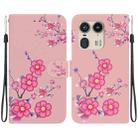 For Motorola Edge 50 Ultra Crystal Texture Colored Drawing Leather Phone Case(Cherry Blossoms) - 1