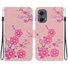 For Motorola Edge 2024 Crystal Texture Colored Drawing Leather Phone Case(Cherry Blossoms) - 1