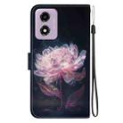 For Motorola Moto G04s / Moto E14 Crystal Texture Colored Drawing Leather Phone Case(Purple Peony) - 3