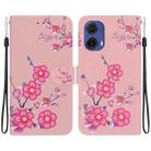 For Motorola Moto G85 Crystal Texture Colored Drawing Leather Phone Case(Cherry Blossoms) - 1