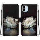 For Xiaomi Redmi A1 / A2 Crystal Texture Colored Drawing Leather Phone Case(Crystal Peony) - 1