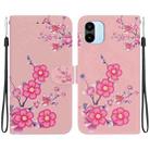 For Xiaomi Redmi A1 / A2 Crystal Texture Colored Drawing Leather Phone Case(Cherry Blossoms) - 1