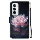 For OPPO Reno12 5G Global Crystal Texture Colored Drawing Leather Phone Case(Purple Peony) - 3