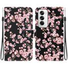 For OPPO Reno12 5G Global Crystal Texture Colored Drawing Leather Phone Case(Plum Bossom) - 1