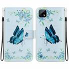 For Realme C20 / C11 2021 Crystal Texture Colored Drawing Leather Phone Case(Blue Pansies) - 1