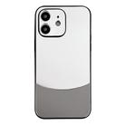 For iPhone 12 Shockproof Frosted PC Silicone Frame Phone Case(Silver) - 1