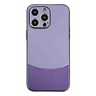 For iPhone 12 Pro Max Shockproof Frosted PC Silicone Frame Phone Case(Purple) - 1