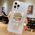 For iPhone 11 Pro Max Starry Sequin Diamond Cat Ears Mirror Epoxy TPU Phone Case(Silver) - 1