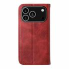 For iPhone 17 Pro Cubic Grid Calf Texture Magnetic Leather Phone Case(Red) - 3