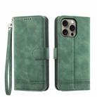 For iPhone 16 Pro Max Dierfeng Dream Line TPU + PU Leather Phone Case(Green) - 1