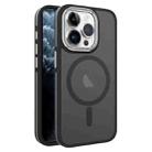 For iPhone 11 Pro Max Two-color Frosted MagSafe Magnetic Phone Case(Black) - 1