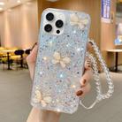 For iPhone 15 Pro Max Starry Sequin Jade Butterfly Epoxy TPU Phone Case with Strap(Silver) - 1