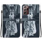 For Samsung Galaxy Note20 Ultra Crystal Texture Colored Drawing Leather Phone Case(Cat Tiger Reflection) - 1
