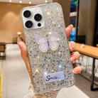 For iPhone 15 Pro Max Starry Sequin Rhinestones Butterfly Epoxy TPU Phone Case(Silver) - 1