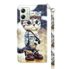 For Motorola Moto G54 3D Painted Leather Phone Case(Naughty Cat) - 3