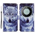 For Huawei Mate 60 Painted Pattern Horizontal Flip Leather Phone Case(White Wolf) - 1