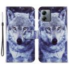 For Motorola Moto G14 Painted Pattern Horizontal Flip Leather Phone Case(White Wolf) - 1
