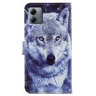 For Motorola Moto G14 Painted Pattern Horizontal Flip Leather Phone Case(White Wolf) - 3