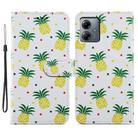 For Motorola Moto G14 Painted Pattern Horizontal Flip Leather Phone Case(Pineapple) - 1