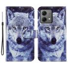 For Motorola Moto G84 Painted Pattern Horizontal Flip Leather Phone Case(White Wolf) - 1