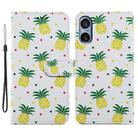 For Sony Xperia 5 V Painted Pattern Horizontal Flip Leather Phone Case(Pineapple) - 1