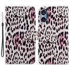 For Sony Xperia 5 V Painted Pattern Horizontal Flip Leather Phone Case(Leopard) - 1