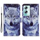 For OPPO A79 5G / A2 5G Painted Pattern Horizontal Flip Leather Phone Case(White Wolf) - 1