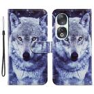 For Honor 90 Painted Pattern Horizontal Flip Leather Phone Case(White Wolf) - 1