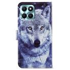 For Honor X6A Painted Pattern Horizontal Flip Leather Phone Case(White Wolf) - 3