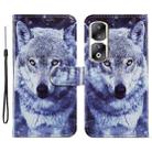 For Honor 90 Pro Painted Pattern Horizontal Flip Leather Phone Case(White Wolf) - 1