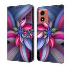 For Motorola Moto G04 Crystal 3D Shockproof Protective Leather Phone Case(Colorful Flower) - 1