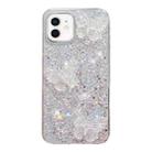 For iPhone 12 mini Starry Sequin Crystal Butterflies Epoxy TPU Phone Case(Silver) - 1