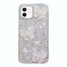 For iPhone 11 Starry Sequin Crystal Butterflies Epoxy TPU Phone Case(Silver) - 1