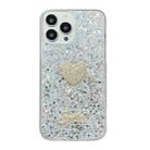 For iPhone 13 Pro Max Starry Sequin Diamond Heart Epoxy TPU Phone Case(Silver) - 1