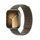 For Apple Watch SE 2022 40mm DUX DUCIS BL Series Loop Magnetic Watch Band(Taupe) - 1