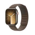 For Apple Watch Series 3 42mm DUX DUCIS BL Series Loop Magnetic Watch Band(Taupe) - 1