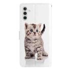 For Samsung Galaxy A26 5G Colored Drawing Leather Phone Case(Little Tabby Cat) - 3