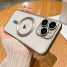 For iPhone 11 Pro Max MagSafe Magnetic Frosted TPU Phone Case(Titanium) - 1