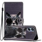 For Sony Xperia 5 V Colored Drawing Leather Phone Case(Sunglasses Cat) - 1